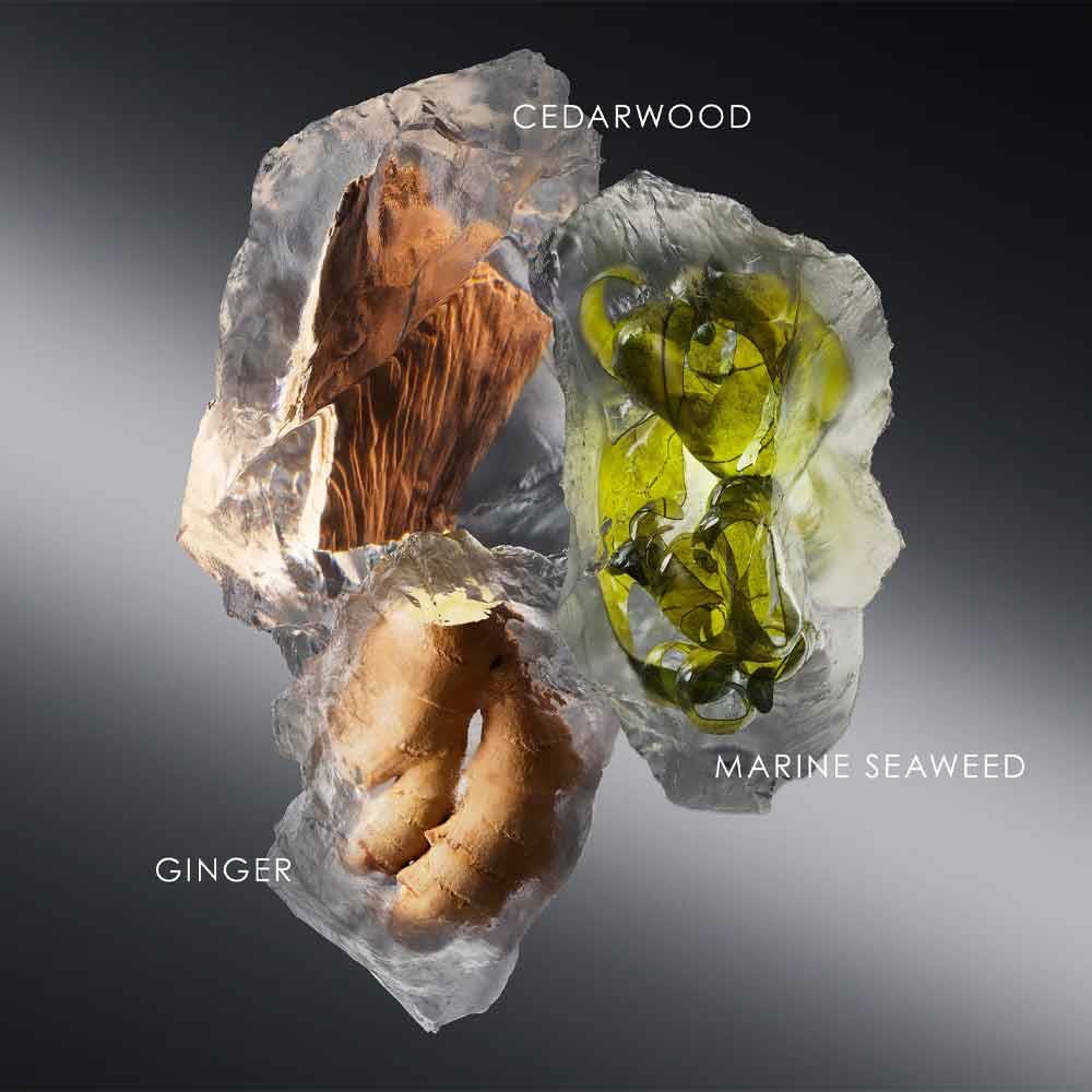 Issey Miyake Sel D'Issey Pour Homme 50ml EDT