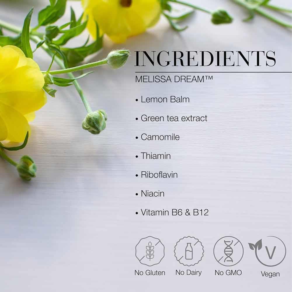 New Nordic Melissa Dream Restful Sleep 40 Tablets