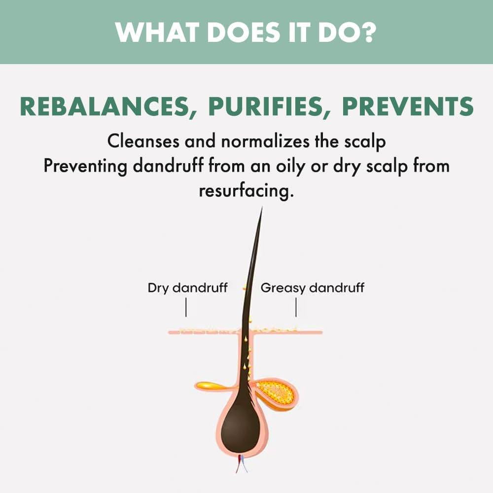 Alfaparf Semi Di Lino Scalp Rebalance Purifying Shampoo 250ml