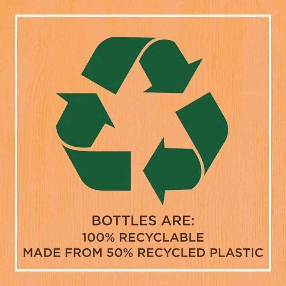 Garnier Ultimate Blends Hair Food Conditioner Papaya 350ml