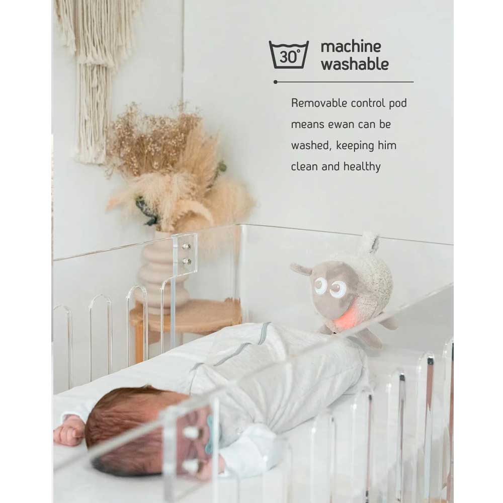 Ewan The Dream Sheep Beige
