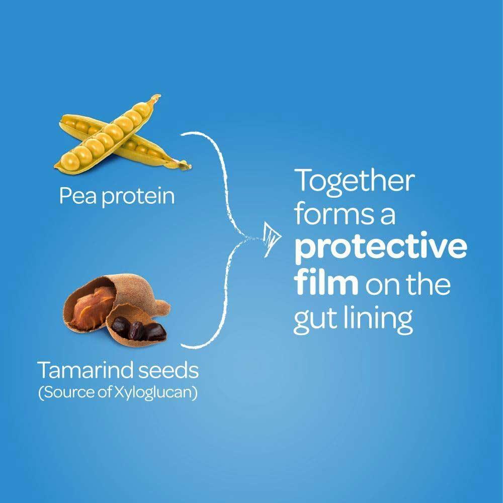 FyboCalm Wind & Bloating Relief 30 Capsules