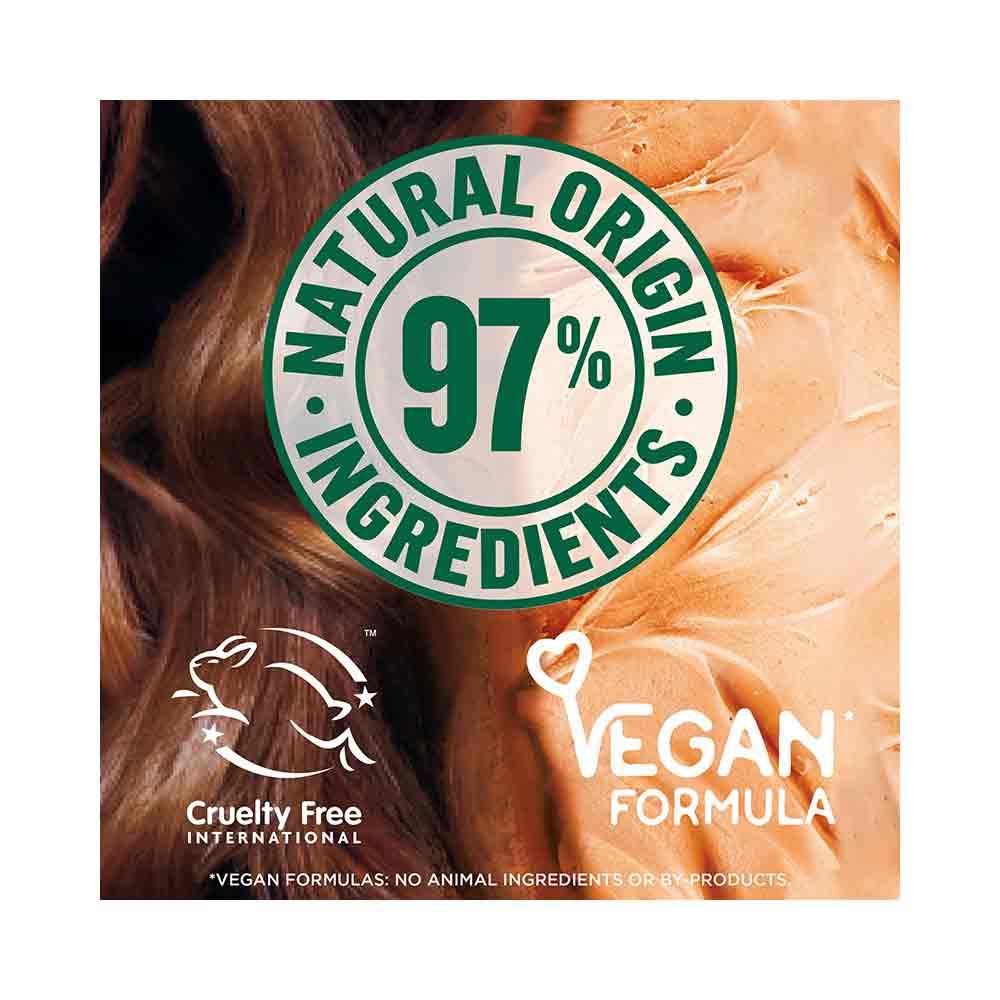 Garnier Ultimate Blends Hair Food Cocoa Butter Conditioner 350ml