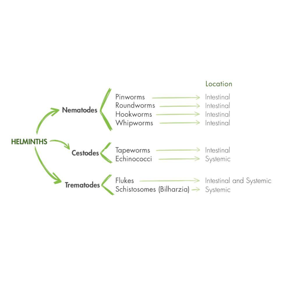 Guna Gunaelmint 30 Pack