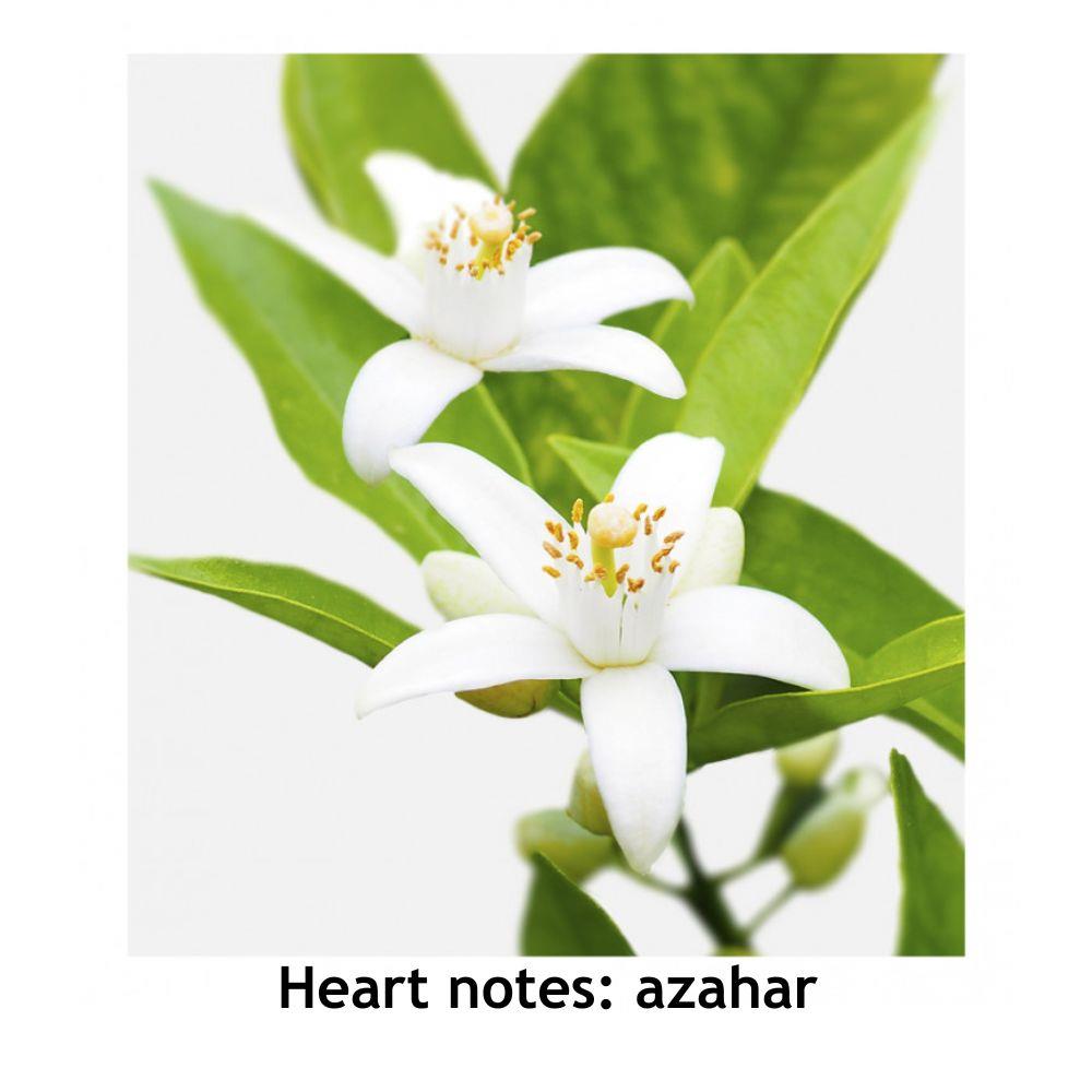 Verset Radiance 100ml