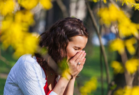 Your Spring Survival Guide: How to Control Hayfever Symptoms