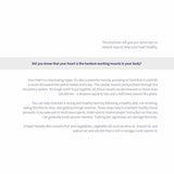 Minami MorEPA Platinum Smart Fats Plus Vitamin D 60 Pack