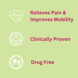 FLEXISEQ Max Strength Osteoarthritis Gel 50g