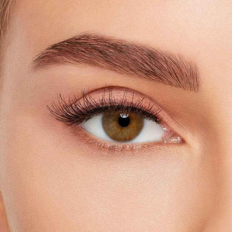 Ardell Multipack Demi Wispies 5 Pairs