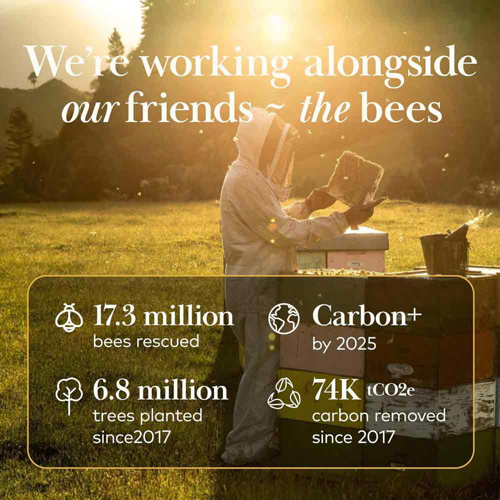 Comvita Manuka Honey MGO 83+ 500g