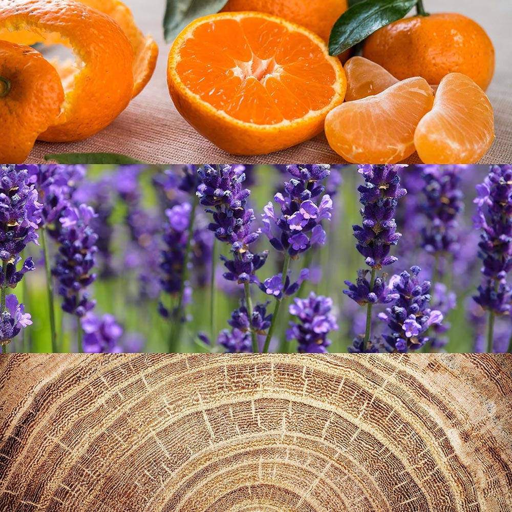 Calvin Klein Obsession for Men 125ml EDT