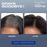 Clairol Nice N Easy Root Touch Up 6G Light Golden Brown