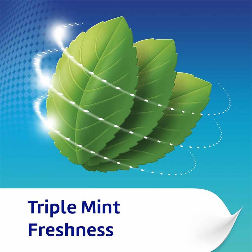 Poligrip Denture Fixative Cream Flavour Free 40g