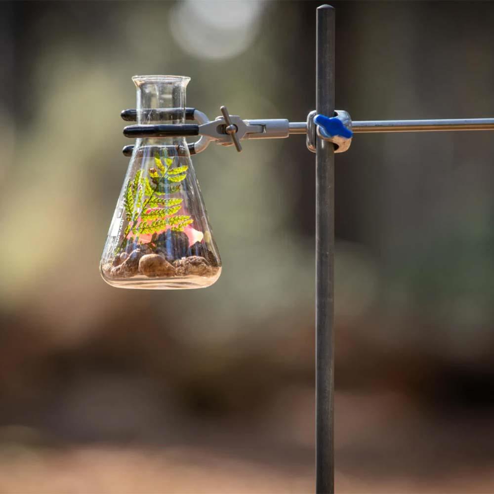 FabU Shrooms Meno & Peri 60 Capsules