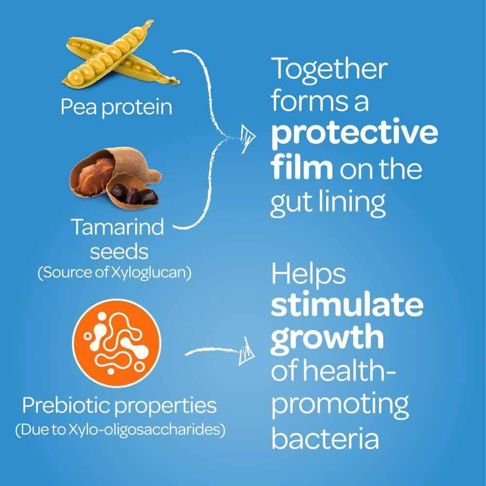 FyboCalm Diarrhoea Relief 30 Capsules