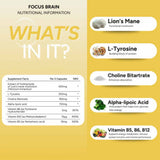 FabU Focus Brain 60 Capsules