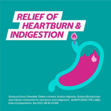 Gaviscon Extra Chewable Tablets 12 Pack