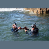 GreenCastle Kelp Irish Moss & Bladderwrack 60 Capsules