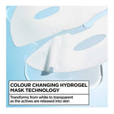 Garnier Hyaluron HydroGel Mask