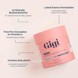 Gigi Advanced Pre-Conception & Pregnancy Blend Tropical 200g