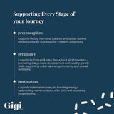 Gigi Pre-Conception & Pregnancy Blend Capsules 90 Capsules