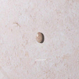 Higher Nature Immune + Vitamin C with Zinc 90 Tablets