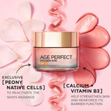 L'Oreal Paris Age Perfect Golden Age Re-Fortifying Rosy Care SPF20 Cream 50ml