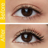 Maybelline Colossal Curl Bounce Mascara After Dark