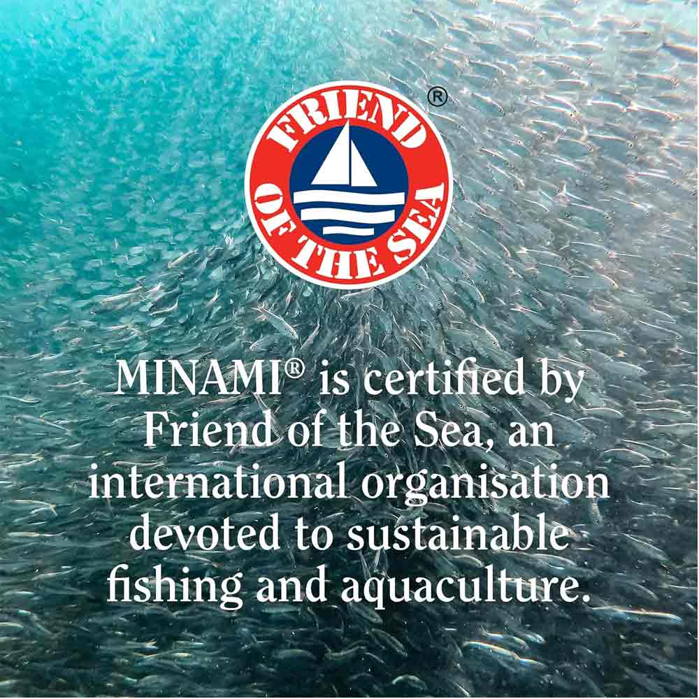 Minami MorEPA Cholesterol Omega 3 With Plant Sterols 60 Softgels