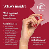 Novomins Nutrition Kids Iron Gummies 30 Pack