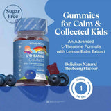 Novomins Nutrition Kids L-Theanine Gummies 30 Pack