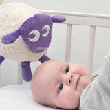 Ewan The Dream Sheep