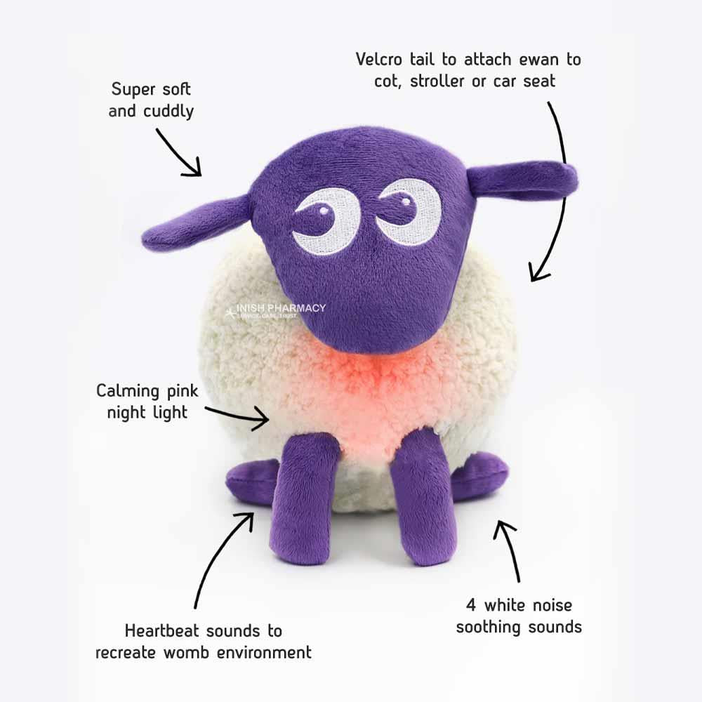 Ewan The Dream Sheep