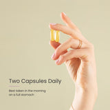 Proceive Pregnancy Omega 3 - 60 Capsules