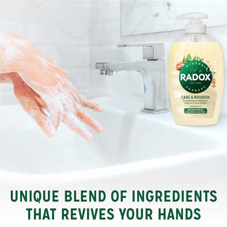 Radox Care & Nourish Handwash 250ml