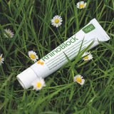 RhinoBlock Hay Fever Nasal Ointment 15g
