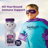 Sambucol Kids Chewable Teddies 60 Pack