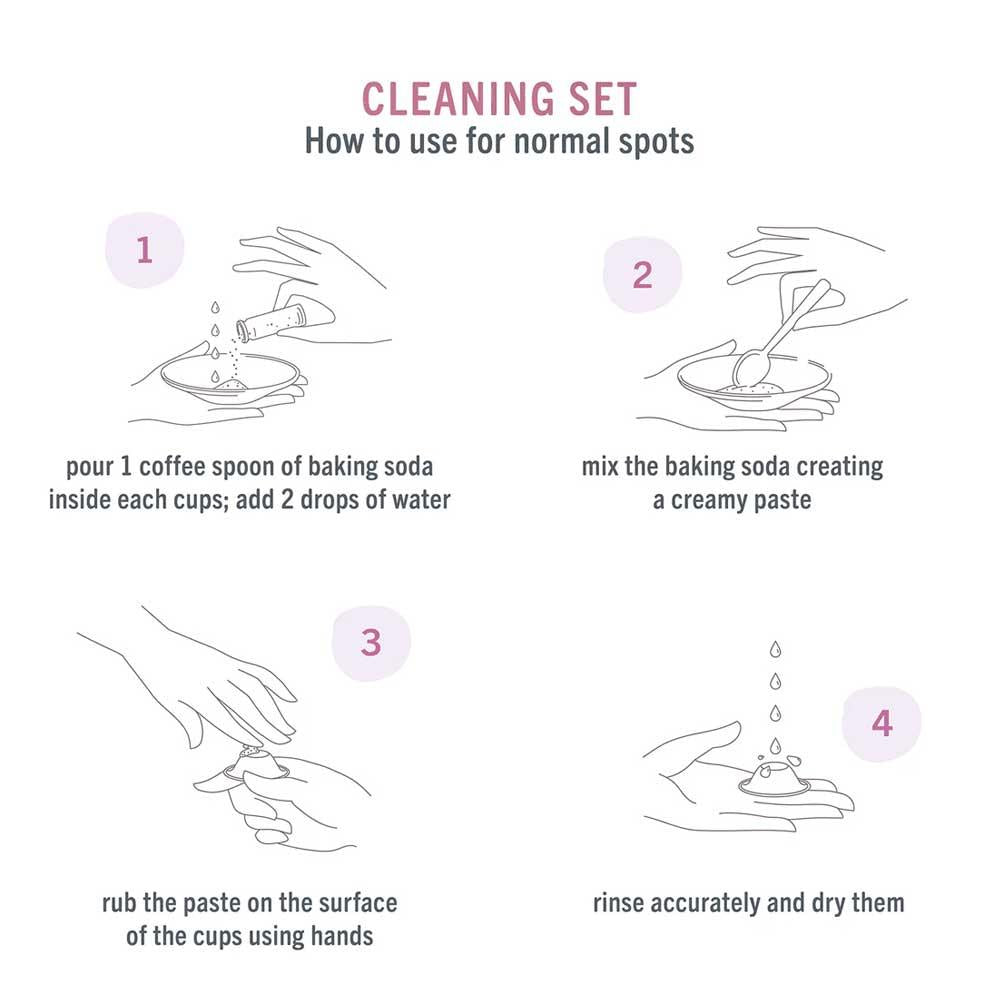 Silverette Cleaning Set