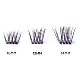 SOSU Hidden Agenda Dramatized Lashes