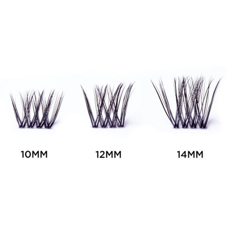 SOSU Hidden Agenda Dramatized Lashes