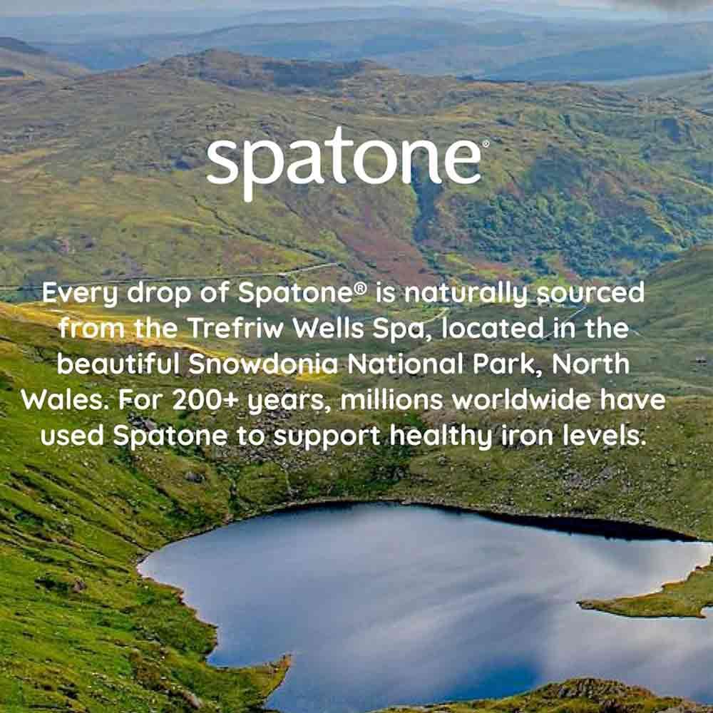Spatone 100% Natural Liquid Iron Supplement Apple 28 Sachets