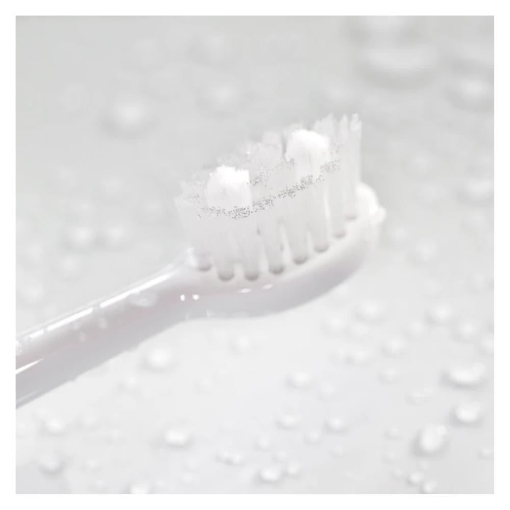 Spotlight Oral Care Sonic Toothbrush Replacement Heads 3 Pack