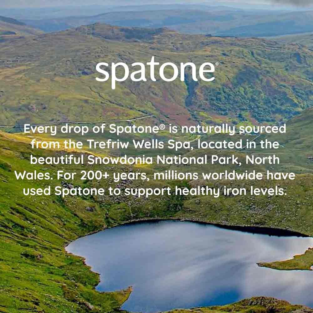 Spatone 100% Natural Liquid Iron Supplement Apple 14 Sachets