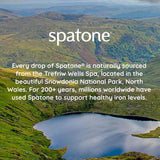 Spatone 100% Natural Liquid Iron Supplement Apple 14 Sachets