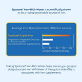 Spatone 100% Natural Liquid Iron Supplement Apple 14 Sachets