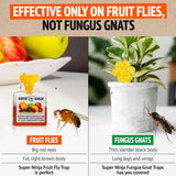 Super Ninja Fruit Fly Trap 12x18ml