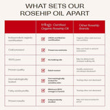 Trilogy Rosehip Oil Antioxidant + 30ml