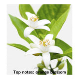 Verset Pour Toi For Men 100ml