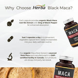 Herba Organic Peruvian Black Maca Capsules 180 Pack